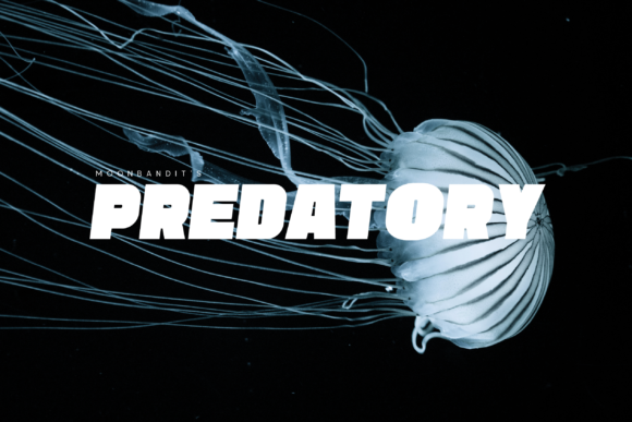 Predatory Font for Bold Branding and Dynamic Design