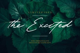 The Excited: A Charming Display Font for Creative Projects